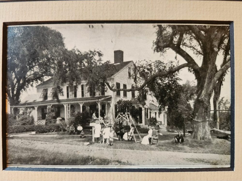 Historic photograph of The Elms with people gathered on the lawn beneath the elm trees